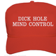 Illustration for article titled Inspiring Political Hats For A Newly Great America